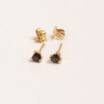 Aretes DSC00291