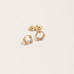 Aretes DSC00299