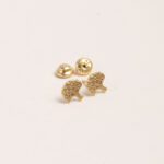 Aretes DSC00303