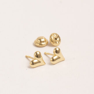 Aretes DSC00312