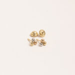 Aretes DSC00320