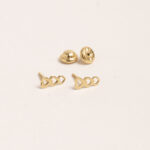 Aretes DSC00321