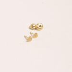 Aretes DSC00332