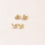 Aretes DSC00334
