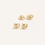 Aretes DSC00344