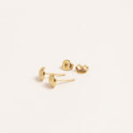 Aretes DSC00351