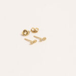 Aretes DSC00355